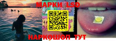spice Новодвинск