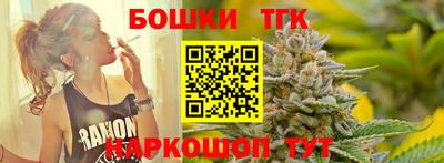 spice Новодвинск