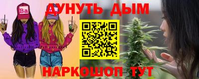 spice Новодвинск