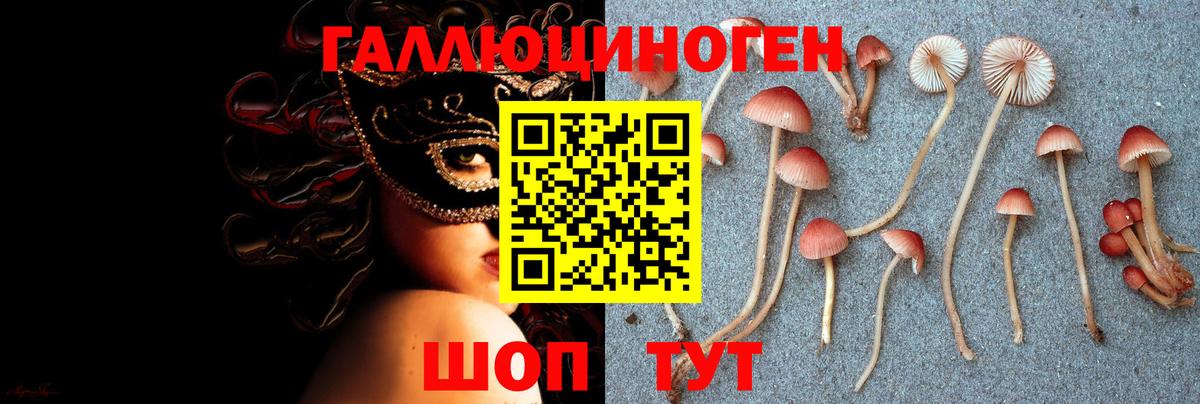 Псилоцибиновые грибы прущие грибы Сергиев Посад