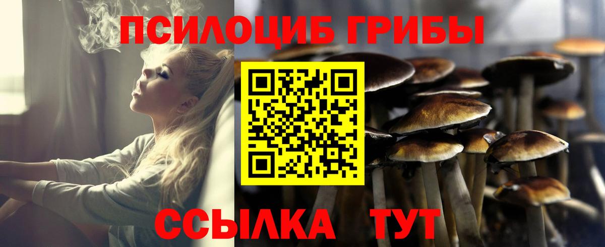 Сергиев Посад  Галлюциногенные грибы прущие грибы  Вход с VPN 